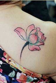 女性肩部唯美好看的彩色莲花纹身图案图片