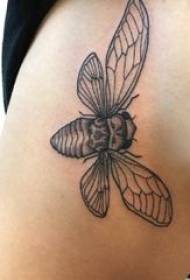 Baile zvířecí tetování dívka boční pas na černém tetování obrázku hmyzu
