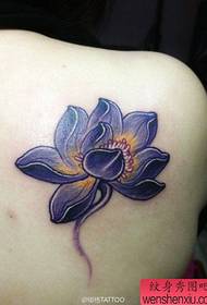 Mabega ya kike maarufu mtindo mzuri wa tattoo ya lotus