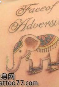 Frumusețe umăr scrisoare model de tatuaj elefant