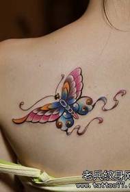 一幅女人肩部彩色蝴蝶纹身图案
