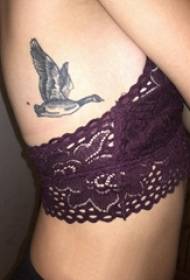 Tatuaje de cintura lateral cintura de rapaza de lado femenina en foto de tatuaje de gansos negros