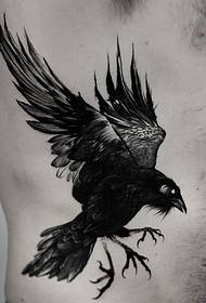 divi muchiuno European uye American realistic crow tattoo maitiro