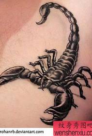 Pattern di tatuaggi di Scorpion