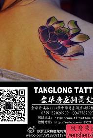 Meiteņu pleciem skaists jauns tradicionālais lotosa tetovējuma modelis