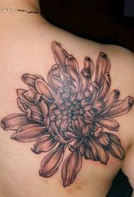 Chrysanthemum tatoveringsmønster: skulder sort og hvid krysantemum tatoveringsmønster