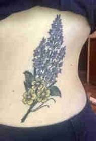 Растительная татуировка на боковой талии девушки на цветном изображении татуировки растений