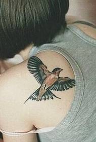 Beautiful girl shoulder personality swallow tattoo pattern