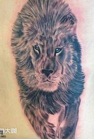 bel i një modeli tatuazhi dominues të luanit