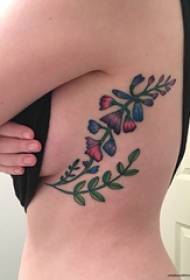 Illustration de tatouage côté taille fille côté taille image de tatouage plante colorée
