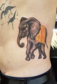 百乐动物纹身 男生侧腰上彩色的象纹身图片
