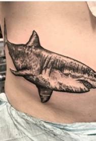 बेली पशु टैटू नर साइड कम्मर कालो शार्क टैटू चित्र