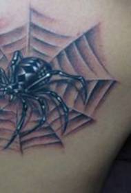 Pola Tato Spider: Pola Tato Web Spider