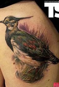 Робоча творча татуювання птахів