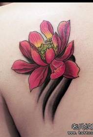Frou skouderkleurich lotus tattoopatroan
