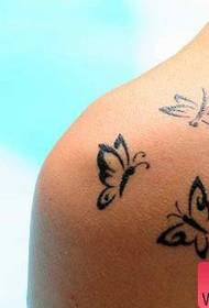 Opere di tatuaggio creativo farfalla piccola spalla fresca donna