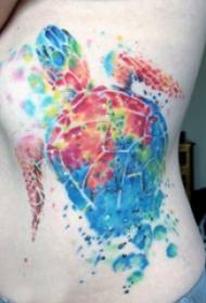 Tatoeëring van die middellyf illustrasie meisie aan die middellyf gekleurde skilpad tatoeëermerk prentjie