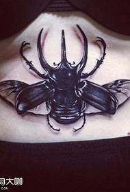 pas tetování vzor hmyzu 68274-můra tetování vzor