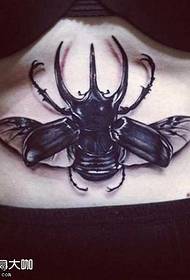 patrún tattoo feithidí waist patrún tatú tattoo 68274-moth