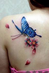美しい肩色の蝶のタトゥーパターン
