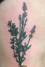 Tatuaż z boku w talii męski uczniak z boku w talii kolorowy obraz tatuażu roślin