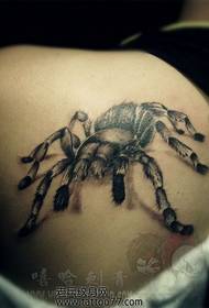 Modello di tatuaggio ragno bello spalla moda