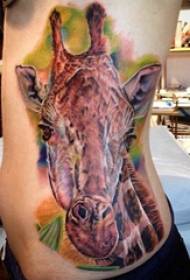 Žirafos tatuiruotės modelis berniuko šoninės juosmens žirafos tatuiruotės modelis