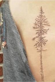 ragazza latu Cintura nera puntu grisgiu thorn skill linia simplice pianta grande albero tatuaggio stampa
