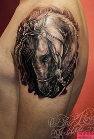 纹身秀图吧推荐一幅大臂马纹身图案