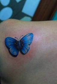 Bellissima spalla farfalla bello culore tatuale di farfalla di mudellu