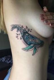 Tattoo balena vajzë vajzë anësore belit me ngjyra tatuazh tatuazh