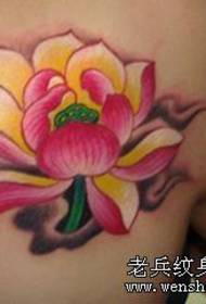 Beleco ŝultro koloro lotuso tatuaje ŝablono