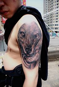 Tianjin Carving Qi tattoo shop tattoo werkt: schouder wolf hoofd tattoo patroon