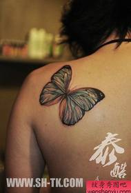 Ombros femininos padrão de tatuagem de borboleta de cor bonita e popular