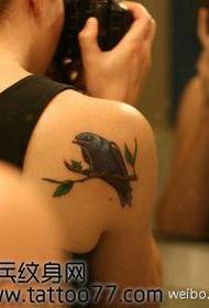 Красива птица татуировка на рамото