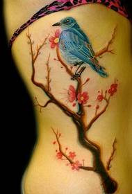 sexy lado feminino cintura fina bela ameixa pássaro tatuagem imagens