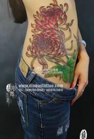 modello del tatuaggio del crisantemo splendidamente dipinto