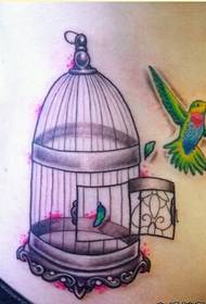 vita della ragazza bella e bella colibrì e modello gabbia per uccelli Immagine