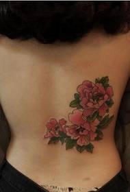 κορίτσια μέση όμορφη όμορφη μεγάλη εικόνα τατουάζ λουλούδι ιβίσκου