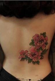 vita di ragazze bella bella grande immagine di tatuaggio fiore di ibisco