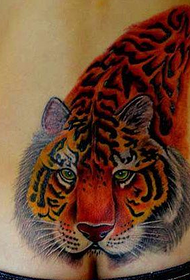 красота талия перфектна доминираща снимка на тигър татуировка