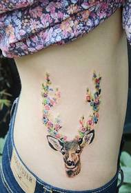 sexy sieviešu sānu vidukļa izskatīga krāsa brieža tetovējums modelis attēlu
