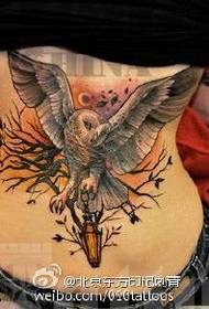 Waist Yakavezwa Owl Tatoo Yepatani