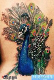 Modello di tatuaggio color pavone in vita