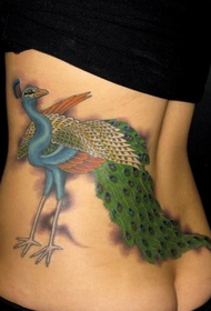 i-waist epeyintiweyo ye-peacock tattoo i-69255-i-color color bird bird Magpie tattoo umfanekiso