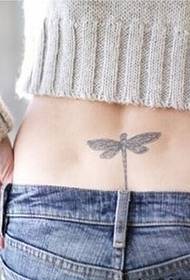 naisten vyötärö kaunis sudenkorento tatuointi kuvio kuva