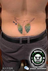 taille doarnen dolfyn sturt tattoo patroan