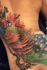 bellissimo tatuaggio dipinto di pavone sul retro