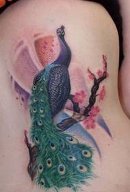 sab duav zoo nkauj peacock tattoo qauv