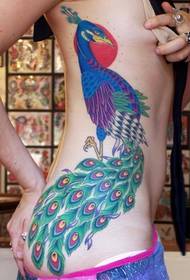 pekné pávie tetovanie